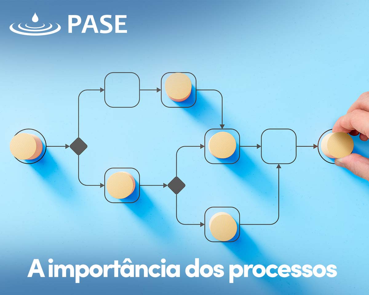 Read more about the article A importância dos processos